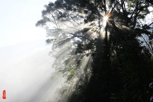 “爷孙恋”接连起波澜，太狗血：年龄差超40岁